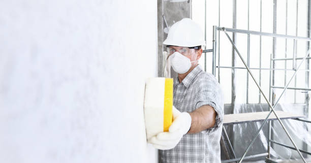 Best Black Mold Removal in Cloverdale, VA