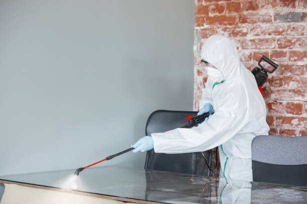 Why You Should Choose Our Mold Remediation Services in Cloverdale, VA